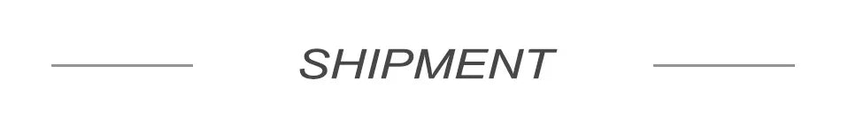 25cm One Piece Zoro Figures Sky Painting Roronoa Zoro Action Figures Anime PVC Collection Model Toys Desktop Decoration Gifts